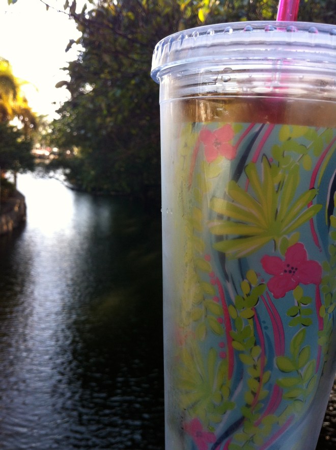 Sweet tea in a Lily tumbler. When it's hot, there's nothin' better!