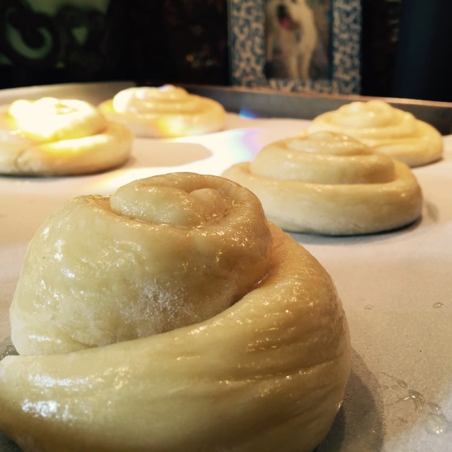Finished with their second rising and slathered with melted butter, the sweet rolls are ready to be baked.