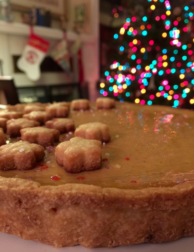 With the bits of leftover dough I fashioned a spray of stars and scattered some decorative shimmer sugar on the end of my comet. Too much time on my hands?